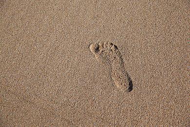 《黑神话：悟空》PC、PS预下载开启：8月20日全球解禁